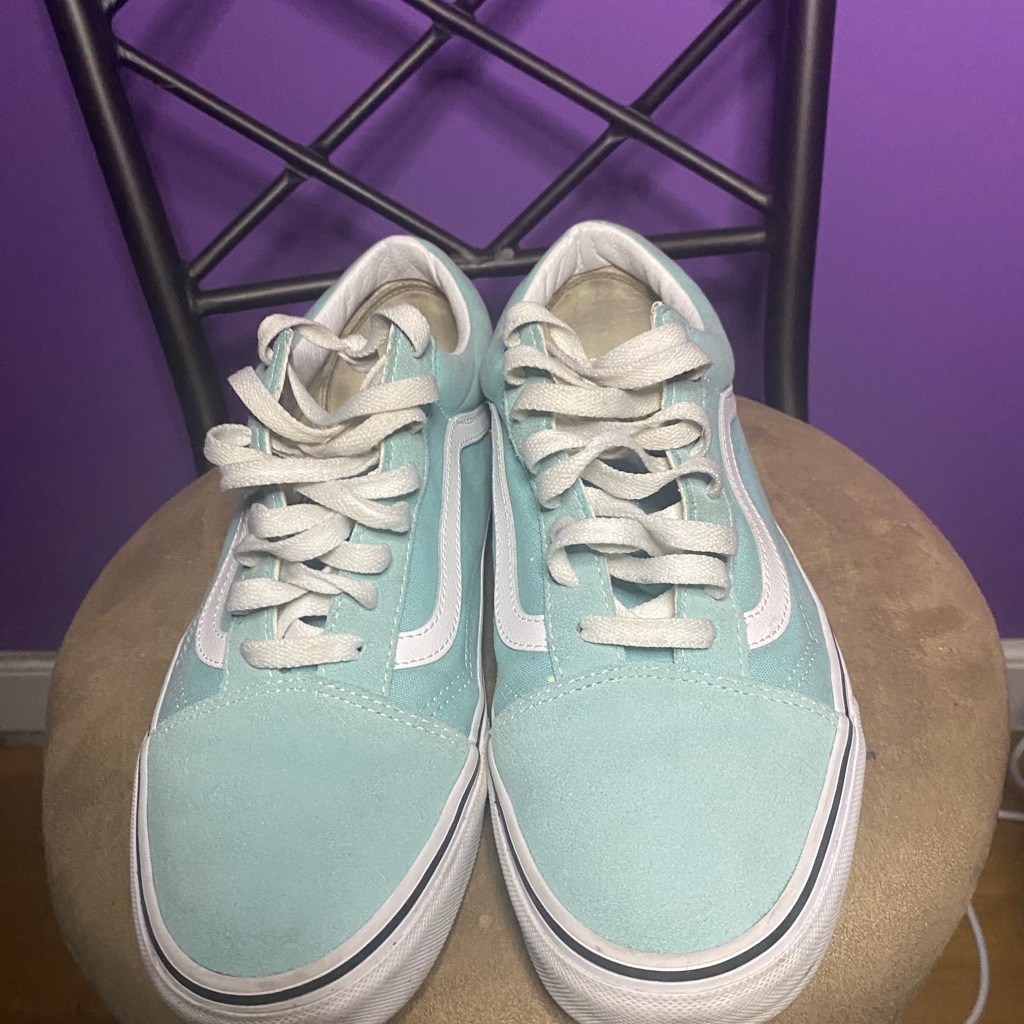 Mint Vans